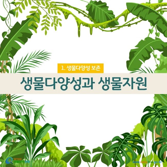 www.easylaw.go.kr 생물다양성과 생물자원